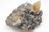 Gemmy, Twinned Calcite Crystal On Sphalerite - Elmwood Mine #209735-2